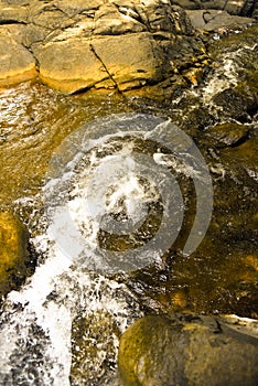 Mountain river in the middle of green forest