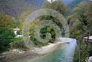 Mountain river in the middle of green forest in italy photo