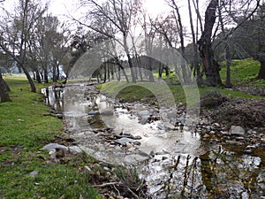 Mountain river in the middle of green forest