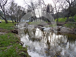 Mountain river in the middle of green forest