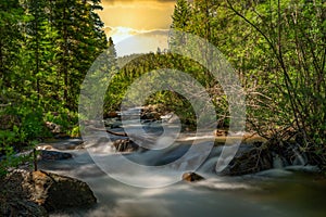 Mountain river in the middle of green forest at sunset