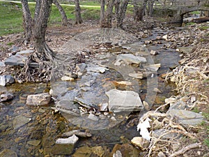 Mountain river in the middle of green forest