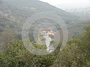 Mountain river in the middle of green forest