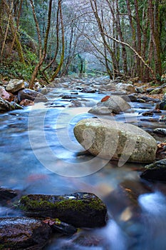 Mountain river at Montseny nature park