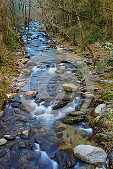 Mountain river at Montseny nature park