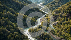 Mountain river. Mountain landscape. Panorama of a fast winding river in the middle of a mountain forest
