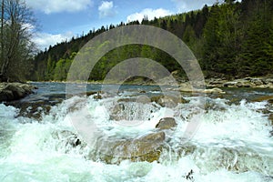 Mountain river in the mountains, summer hiking trails, river rapids, forest