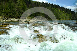 Mountain river in the mountains, summer hiking trails, river rapids, forest on the banks