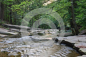 Mountain river Mumlava, Krkonose national park, Czech Republic, summer afternoon. The flow of the river below Mumlava waterfall