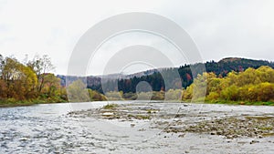 Mountain river. Picturesque landscape overlooking the mountains and the forest, shrouded in morning mist. Carpathians