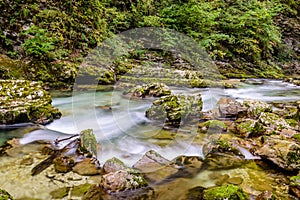 Mountain river Radovna in the Vintgar gorge