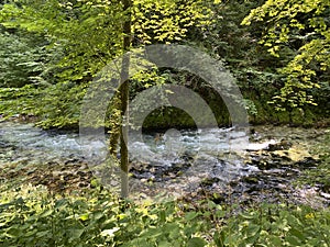 Mountain river Radovna in the Vintgar Gorge or Bled Gorge - Bled, Slovenia Triglav National Park - Bergfluss Radovna