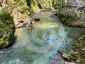 Mountain river Radovna in the Vintgar Gorge or Bled Gorge - Bled, Slovenia Triglav National Park - Bergfluss Radovna