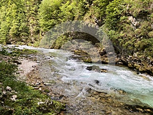 Mountain river Radovna in the Vintgar Gorge or Bled Gorge - Bled, Slovenia Triglav National Park - Bergfluss Radovna