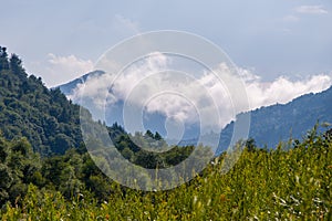 Mountain river with rapids and faults, slopes with coniferous trees photo