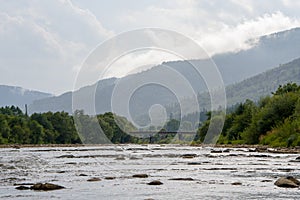 Mountain river with rapids and rifts, slopes with coniferous trees, bubbling stream of water