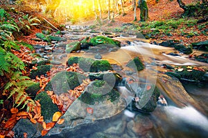 Mountain river with rapids and waterfalls at autumn time