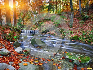 Mountain river with rapids and waterfalls at autumn time time