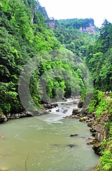 Mountain river among the rocks