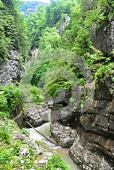 Mountain river among the rocks