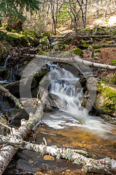 Mountain river running through a forest and over rocks nearby in the Sierra de Madrid