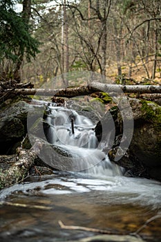 Mountain river running through a forest and over rocks nearby in the Sierra de Madrid