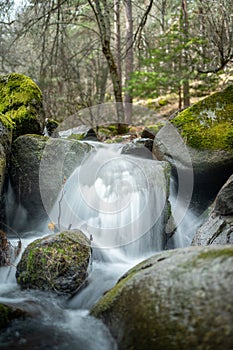 Mountain river running through a forest and over rocks nearby in the Sierra de Madrid