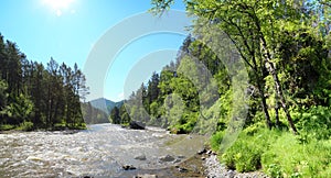 Mountain river Sema landscape in Altai photo