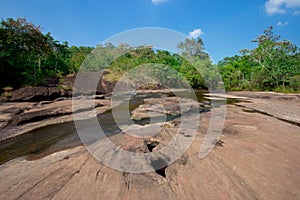 Forest, River, Spring - Flowing Water, Springtime, Water