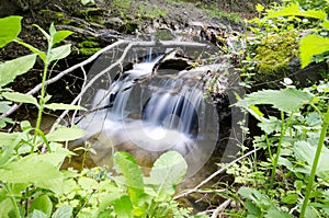 Mountain river among stones and foliage bushes