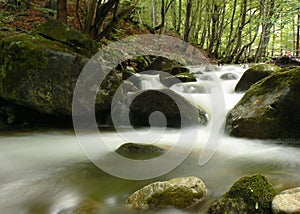 Mountain river stream