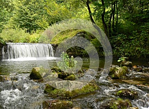 Mountain river stream