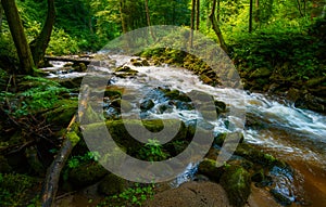 Mountain river - stream flowing through thick green forest, Bistriski Vintgar, Slovenia