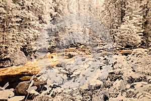 Mountain river in forest in Slovakia. autumn colors. infrared image