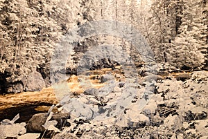 Horská řeka v lese na Slovensku. podzimní barvy. infračervený obraz