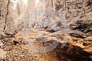 Mountain river in forest in Slovakia. autumn colors. infrared image