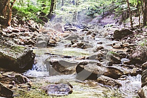 Mountain River Stream Through Summer Forest. Clear Water. Day In Nature