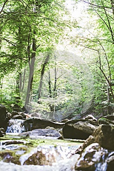 Mountain River Stream Through Summer Forest. Clear Water. Day In Nature