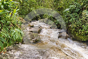 Mountain river stream
