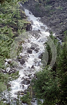 The mountain river is stream. Water runs on the rocks