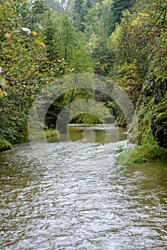 Mountain river in summer. slovensky raj. sucha bela trail