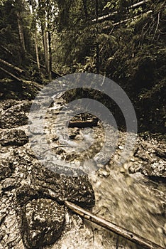 Mountain river in summer. slovensky raj. sucha bela trail - vintage film look