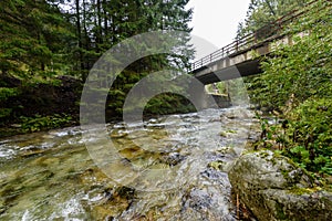 Mountain river in summer