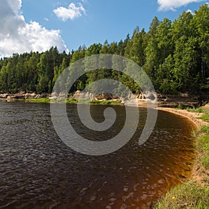 Mountain river in summer surrounded by forest