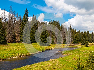 Mountain river on sunny day