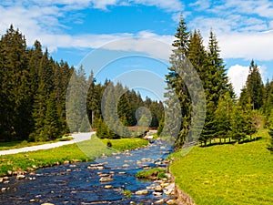 Mountain river on sunny day