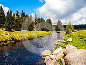 Mountain river on sunny day