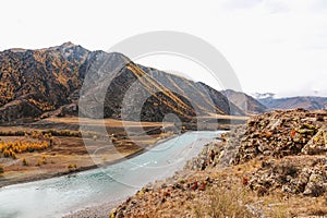 Mountain river surrounded by high rocks in Altai