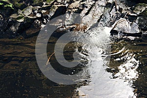 Mountain river surrounded by mountains. A waterfall flowing down from a Sheer cliffs . blue clear water of the river. Rocky stones