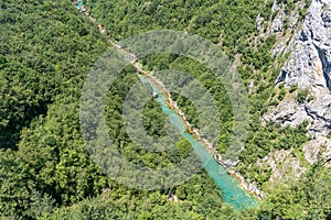 Mountain River Tara Turquoise and Forest on the slopes of the mountains in Montenegro